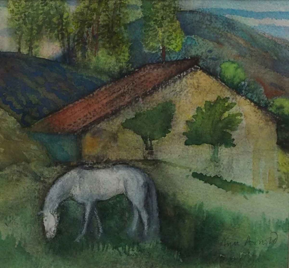 White Horse in a French Field