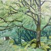 Woodland painting by Annie Ovenden with sunlight coming through the trees and moss covered boulders in the foreground oil on board 11.5" x 16.5"
